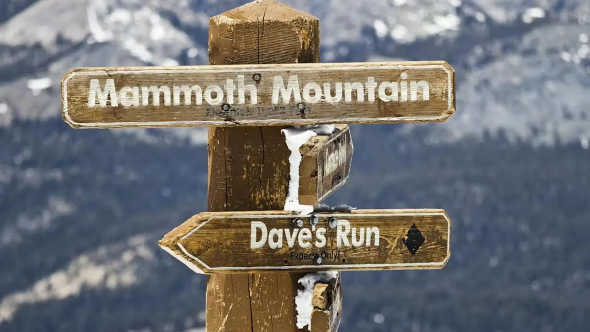 Apartment Discovery 4 119 Mammoth Lakes United States